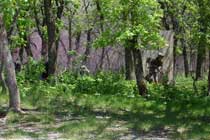 MOUT Training Site Photo 2