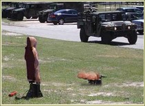 Laser - Counter Convoy Ambush Training System (L-CCATS)
